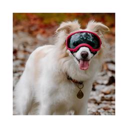 Hundebrille REX Specs V2 Sol & Sikkerhedsbrille SMALL Sort
